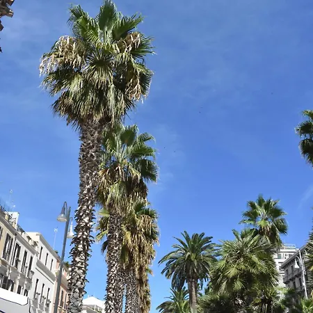 Saint Barth - Historic Loft In 度假居